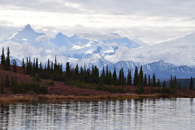 Illinois project seeks diverse stakeholder input in deciding Denali National Park’s future