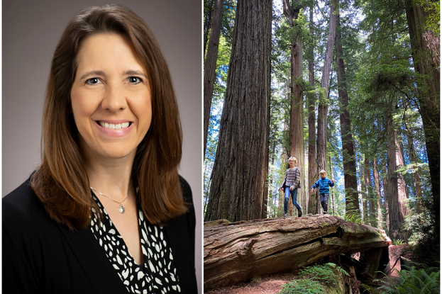 Andrea Faber Taylor headshot next to photo of children walking on a log in a forest