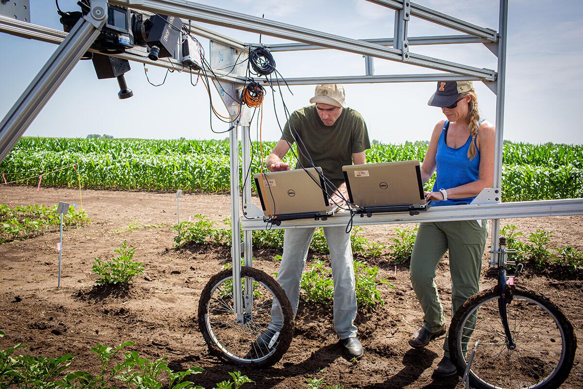 Technology to screen for higher-yielding crop traits now more accessible to scientists