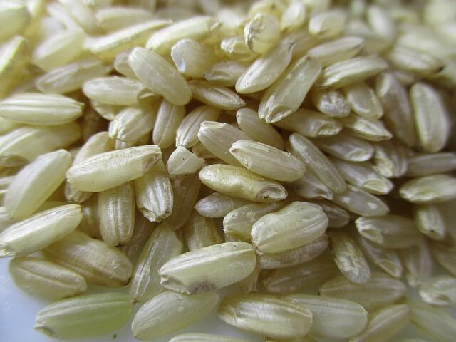Fiber composition in rice coproducts revealed in Illinois study