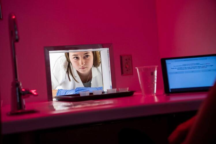 A young woman in a white lab coat peers through a small window separating two rooms. The foreground shows part of a room tinged with pink lighting, including a bench top holding a tray with four small plastic cups and an open laptop computer.